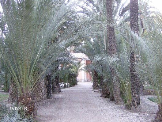 Vakantie Spanje 2008 077