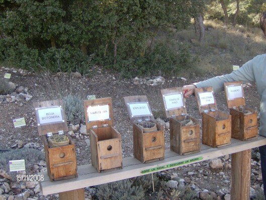 Vakantie Spanje 2008 152