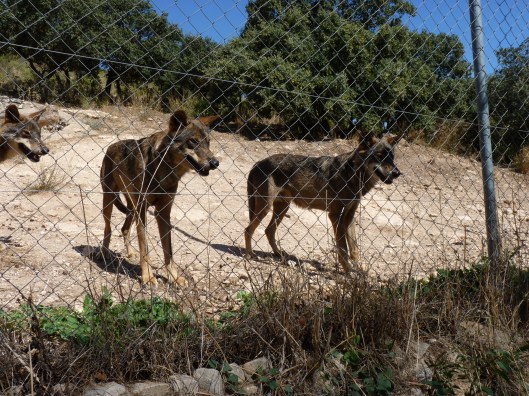 Fotos spanje 2010 048