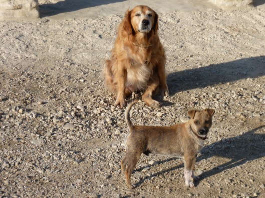 Fotos spanje 2010 002