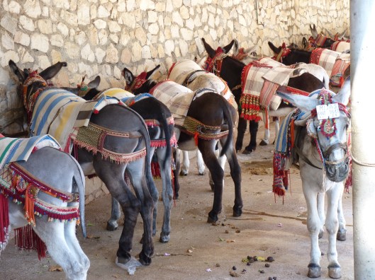 Fotos spanje 2010 340