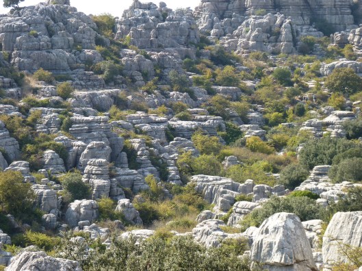 Fotos spanje 2010 053