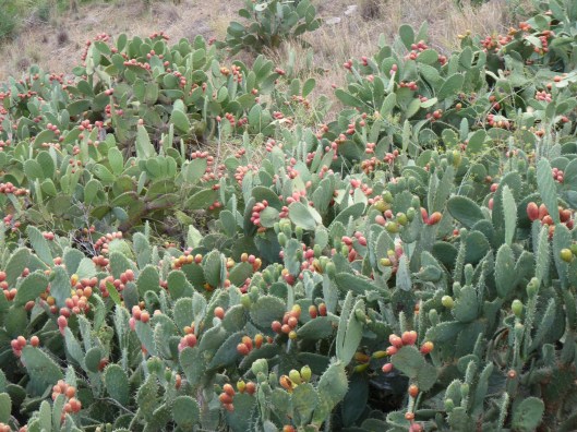 Fotos spanje 2010 135