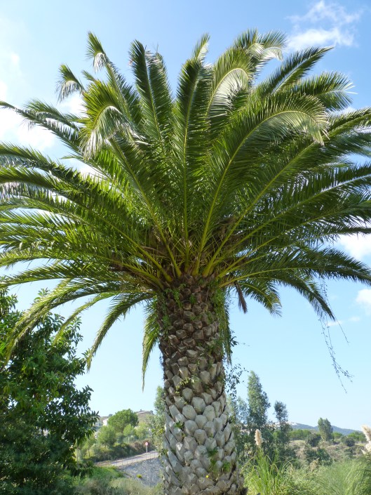 Fotos spanje 2010 301