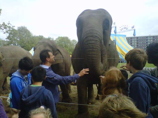 IMG00078-20110619-1627