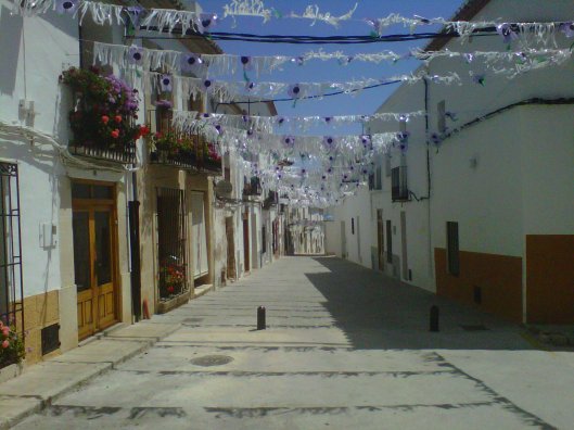 IMG00183-20110627-1225