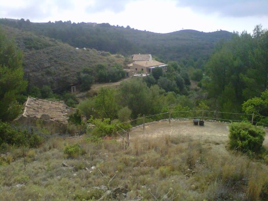 IMG00268-20110629-1036