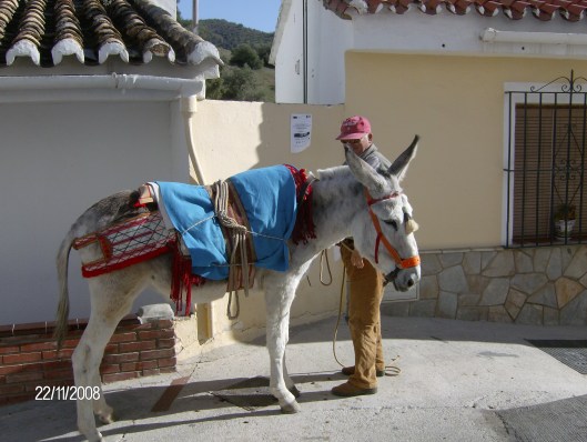 Vakantie Spanje 2008 504