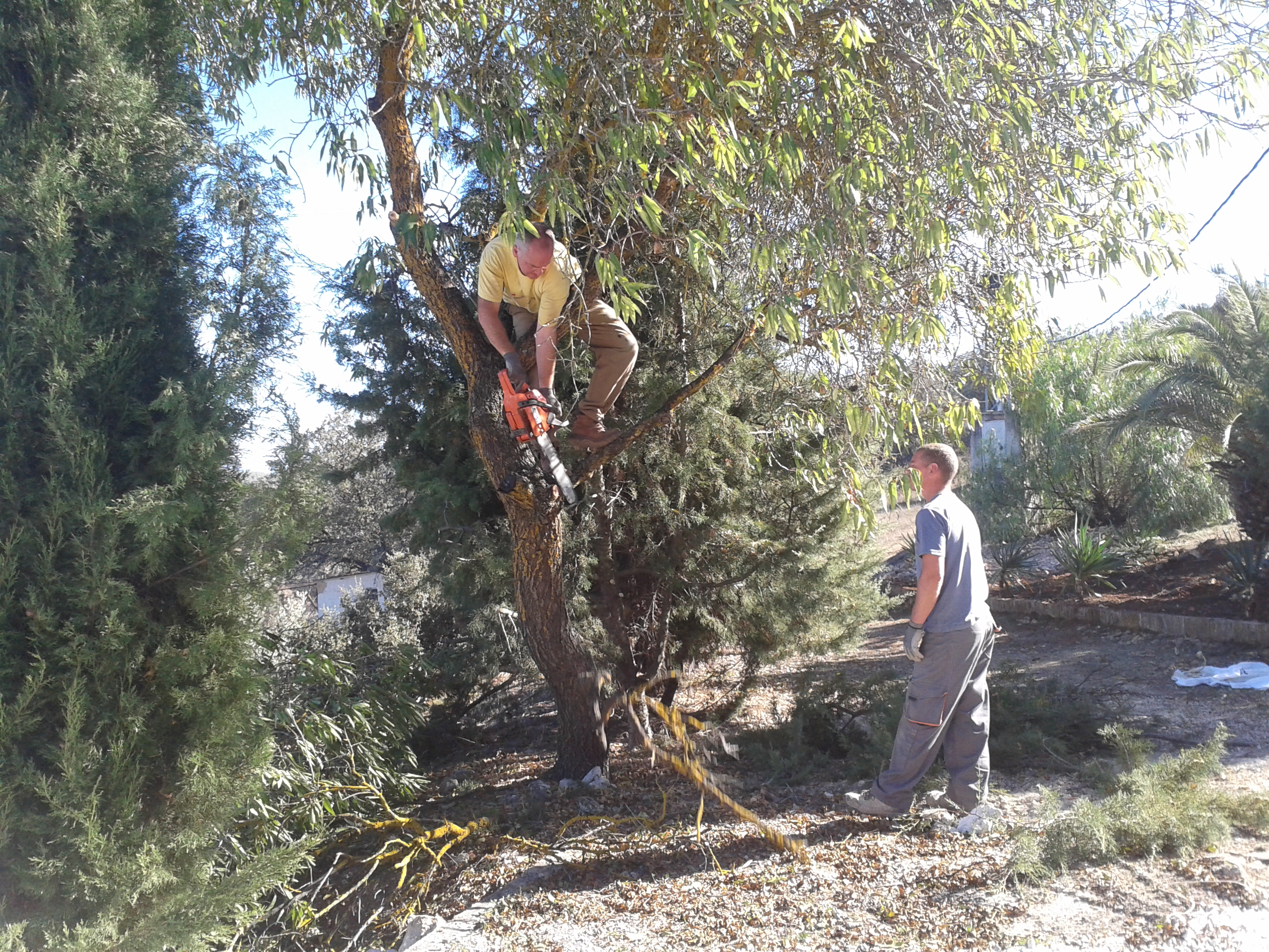 Onze ananas | Spaansgeluk, image size:2560x1920