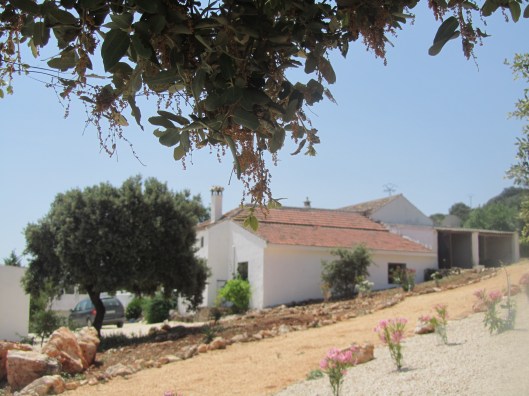 hacienda la suerte juni 2015 612