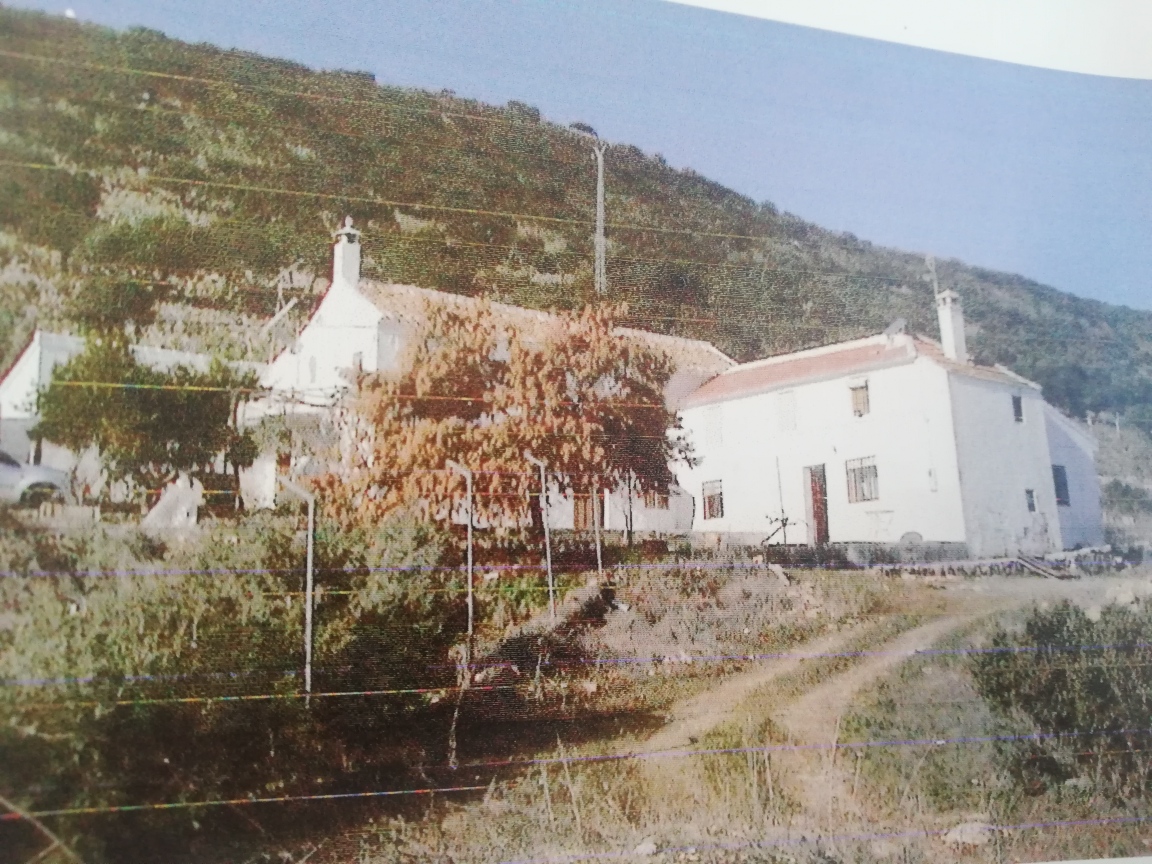 IMG_20210418_192932_resized_20210426_065256651