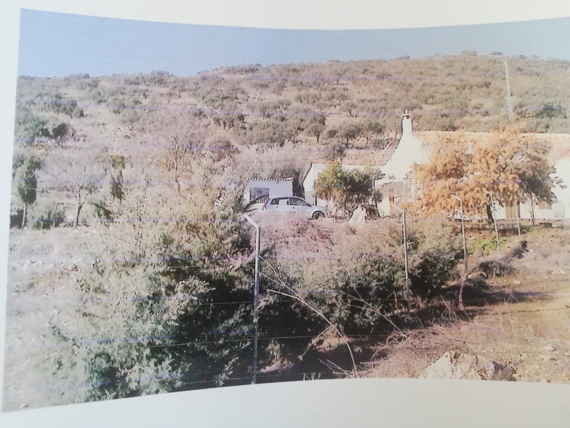 IMG_20210418_193008_resized_20210426_065321195