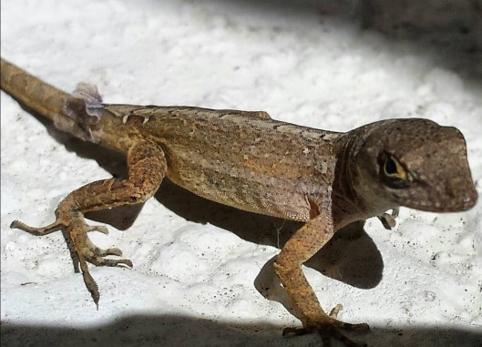 Screenshot_20210413_224248