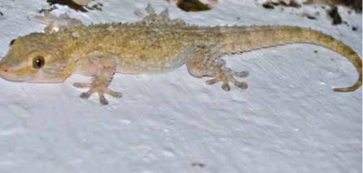 Screenshot_20210413_224550