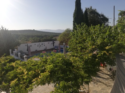 IMG_20200725_092320_resized_20200816_103704649